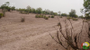 site niwadji 4